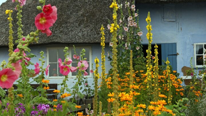 Zo geniet je volgend jaar optimaal van jouw tuin
